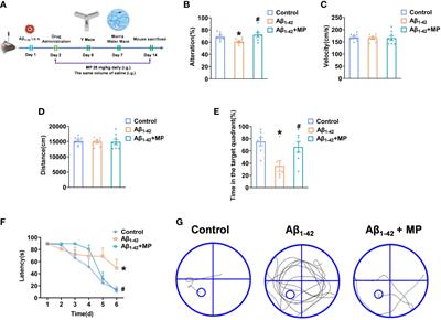 Methylprednisolone alleviates cognitive functions through the regulation of neuroinflammation in Alzheimer’s disease